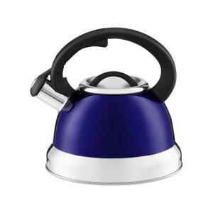 Ambition, Kettle, Rene, Black Handle, Color Body Mix, Stainless Steel, Plastic