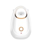 BestWay BFS-01 Facial Steamer