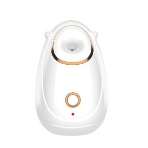 BestWay BFS-01 Facial Steamer