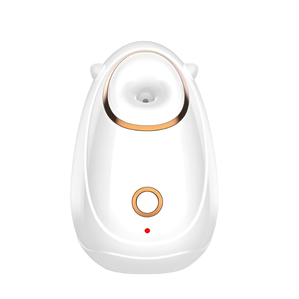 BestWay BFS-01 Facial Steamer