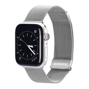 DUX DUCIS Strap Milanese Version Apple Watch 42MM/44MM/45MM, Silver