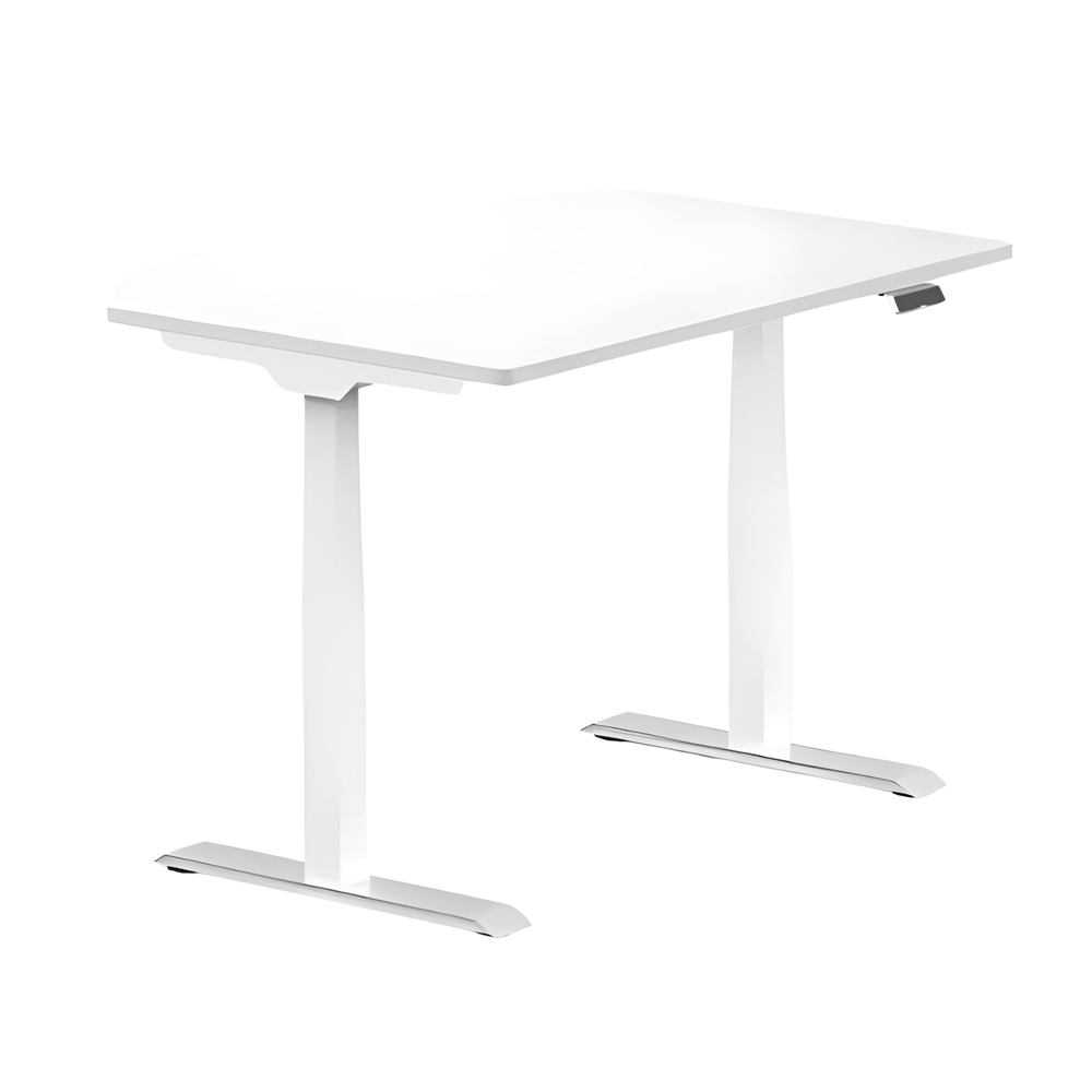 Flexispot Adjustable Desk ET223, White (2 Motors, Capacity:125kg,Height Adj:58cm-123cm,Desk Top Width:110cm-180cm, Speed:32mm/s),(Without Table Top)