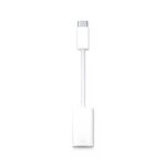 Helmet Adapter Type-C to Lightning, White