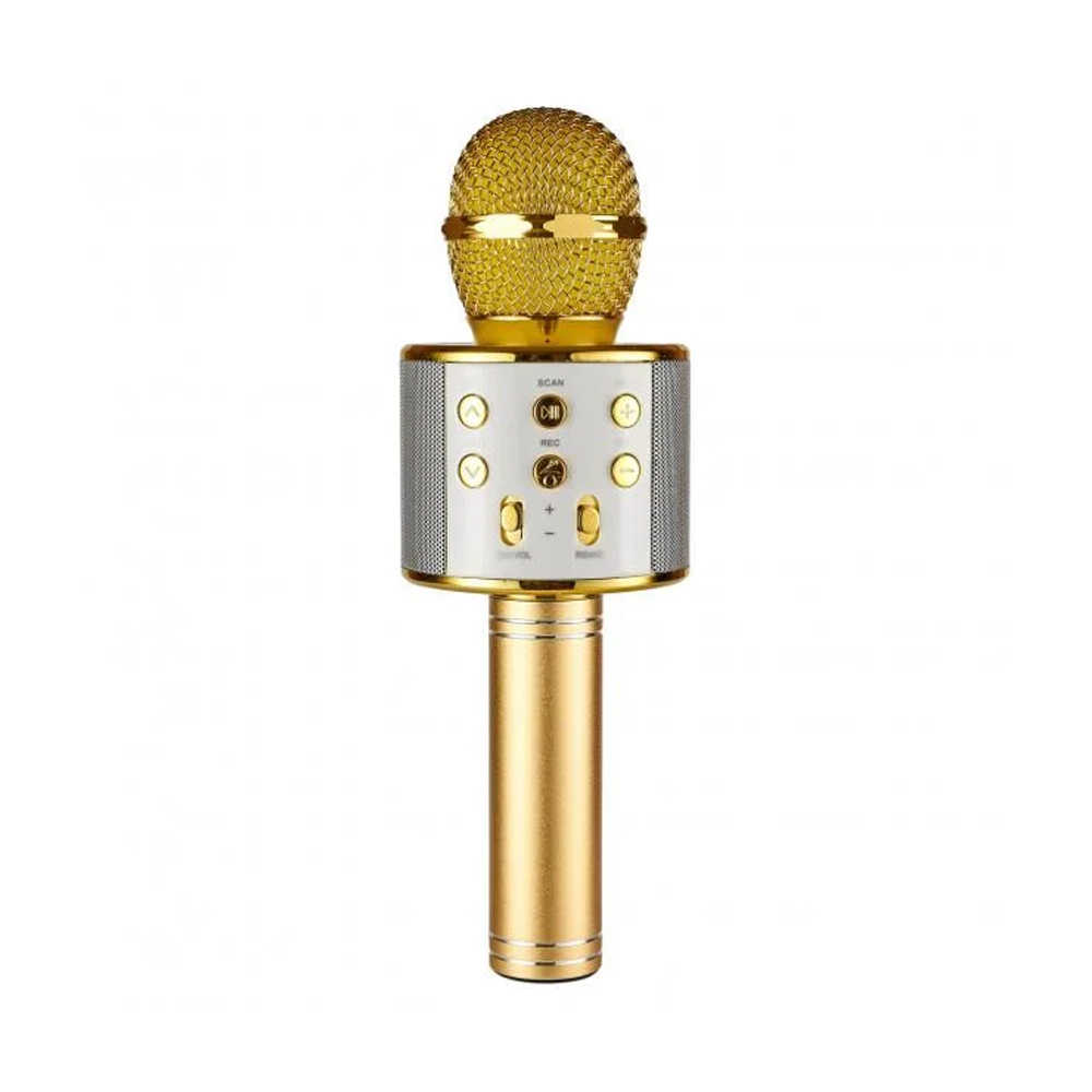 Helmet HANDHELD KTV Portable Karaoke-Speaker Microphone, Gold